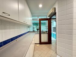 Chuan Place (D19), Semi-Detached #497267271